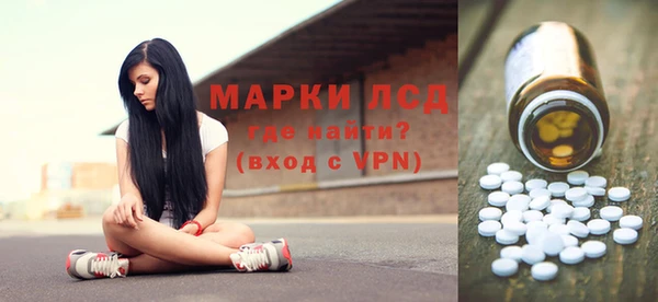 ешки Аркадак