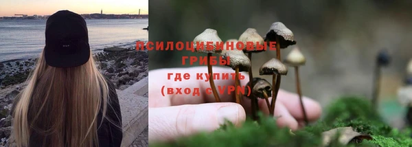 ешки Аркадак
