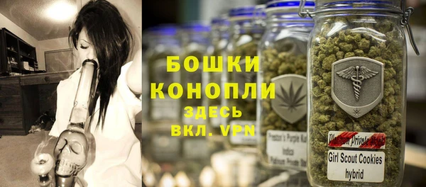 ешки Аркадак