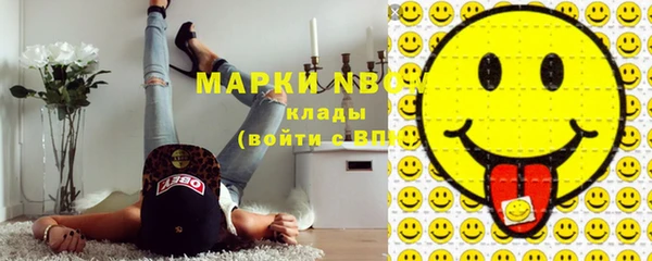 ешки Аркадак