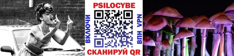 купить наркотики цена  Рузаевка  Галлюциногенные грибы мицелий 